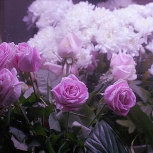 Bilder Ektoras Malo: I Teleftea Mera Tis Chronias