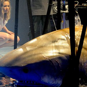 Bilder Deep Blue Sea 2