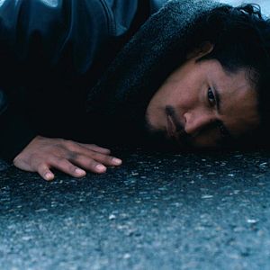 Bilder La Persistente