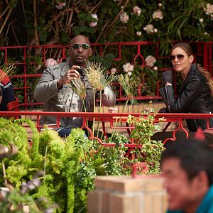 Bilder Tricia Helfer