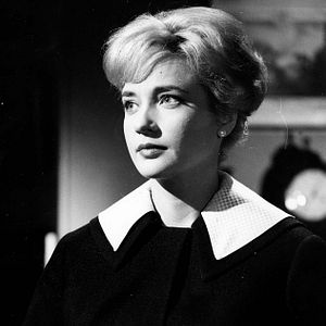 Bilder Der Teufelskreis