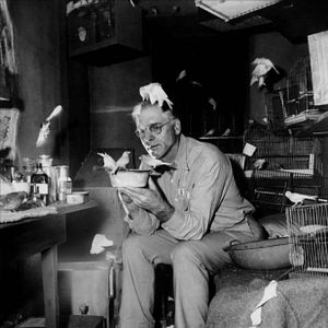 Bilder Der Gefangene von Alcatraz