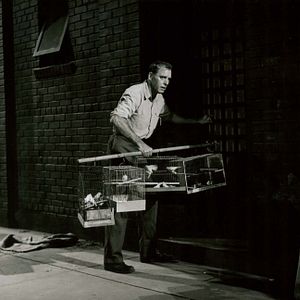 Bilder Der Gefangene von Alcatraz