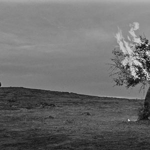 Bilder Jean-Marc Barr