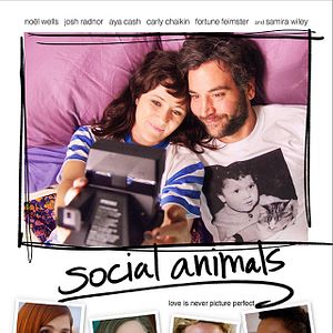 Bilder Social Animals