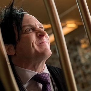 Bilder Robin Lord Taylor