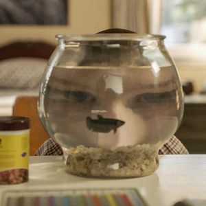 Bilder Young Sheldon