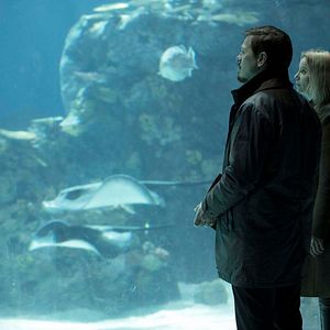 Bilder Die Brücke - Transit in den Tod