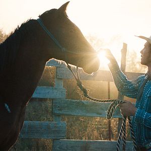 Bilder Brady Jandreau