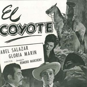 Bilder El coyote
