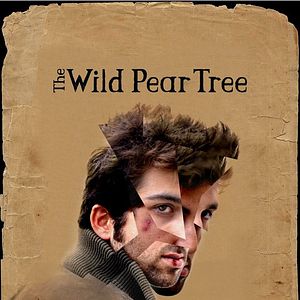 Bilder The Wild Pear Tree