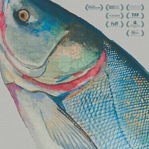 Bilder Das unmögliche Bild