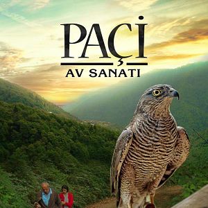 Bilder Paçi: Av Sanatı