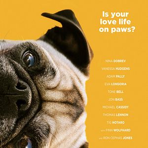 Bilder Dog Days - Herz, Hund, Happy End!