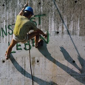 Bilder Wunder der Wirklichkeit