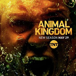 Bilder Animal Kingdom