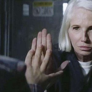 Bilder Animal Kingdom