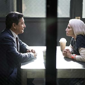 Bilder Animal Kingdom