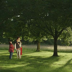 Bilder Im mächtigen Dschungel