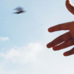 Bilder Nous, les intranquilles