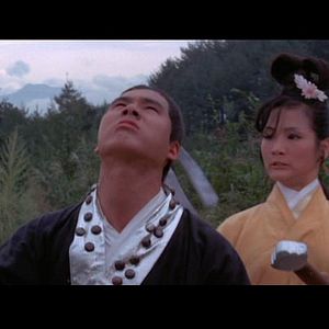 Bilder Golden Swallow