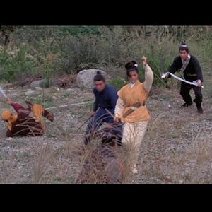 Bilder Golden Swallow