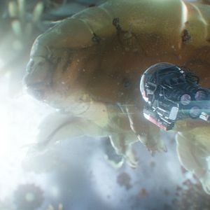 Bilder Ant-Man And The Wasp