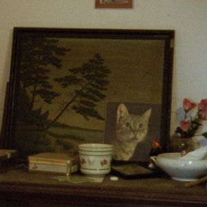 Bilder Aus einem Jahr der Nichtereignisse