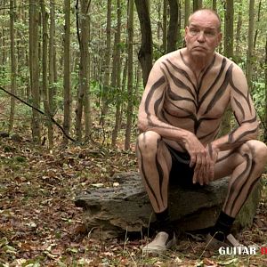 Bilder Guitar Driver