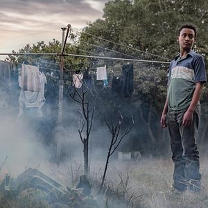 Bilder All These Creatures