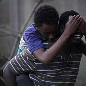 Bilder All These Creatures