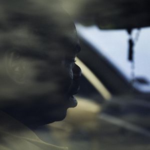 Bilder All These Creatures