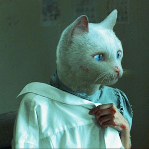 Bilder Ten Years in Thailand