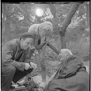 Bilder Bergman - A Year in a Life