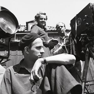 Bilder Bergman - A Year in a Life