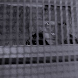 Bilder In Zeiten des Teufels