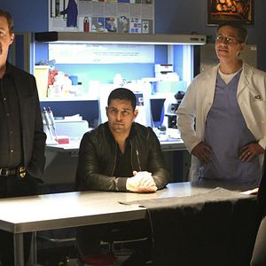 Bilder Emily Wickersham