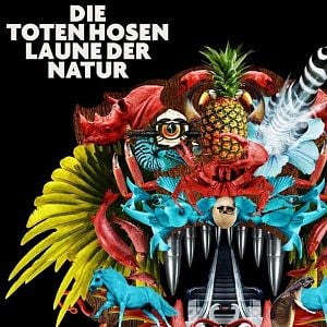 Bilder Weil du nur einmal lebst - Die Toten Hosen auf Tour