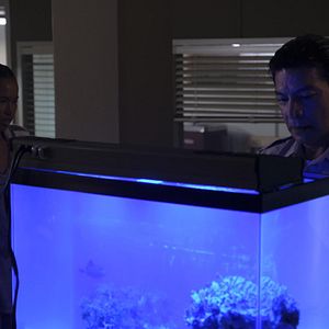 Bilder Gil Birmingham