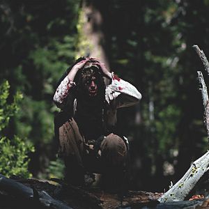 Bilder Das Geheimnis des Einhorns