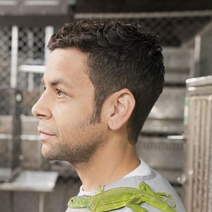 Bilder For The People