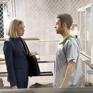 Bilder Susannah Flood