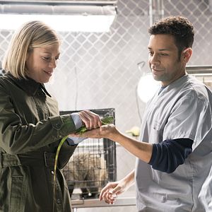 Bilder Susannah Flood