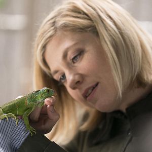 Bilder Susannah Flood