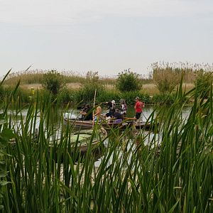 Bilder The Pier - Die fremde Seite der Liebe