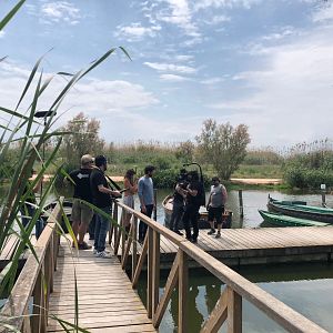 Bilder The Pier - Die fremde Seite der Liebe