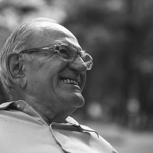 Bilder Tudo É Irrelevante, Hélio Jaguaribe