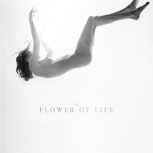 Bilder The Flower of Life