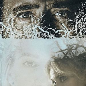 Bilder Between Worlds