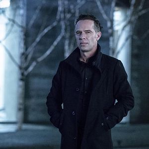 Bilder Neil Sandilands